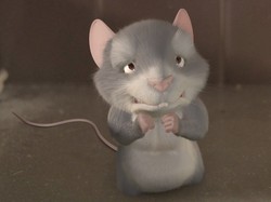 Uciekaj myszko do dziury