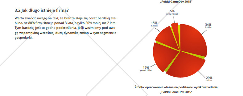 Kondycja polskiej branży gier wideo - jak długo istnieje firma?