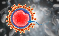 Co NIE wpływa na płodność? Obalamy mity!