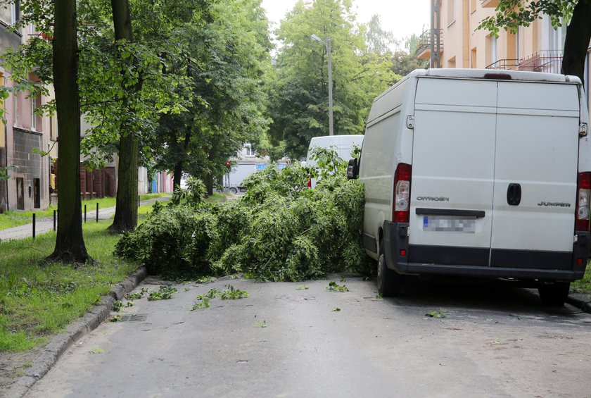 O krok od tragedii. Drzewo runęło na ulicę