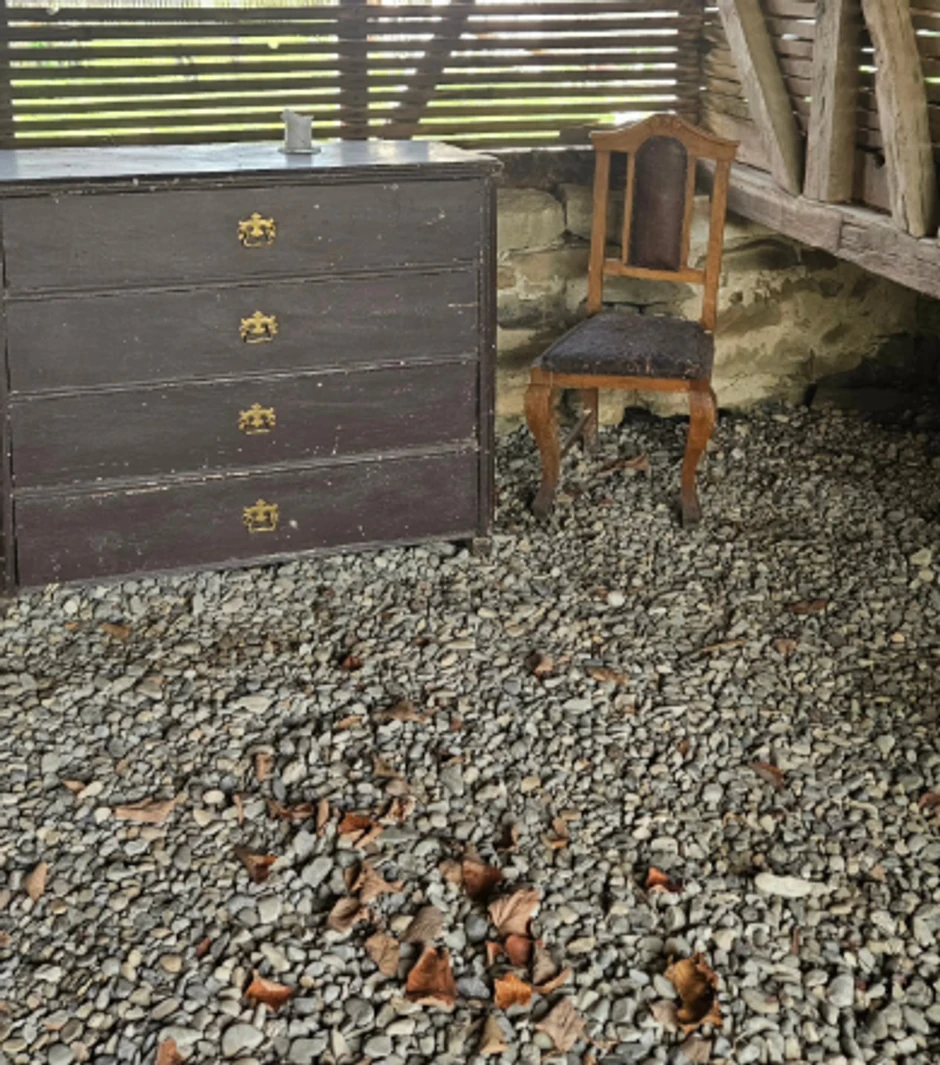 Mirjana Bobić Mojsilović kuća na selu