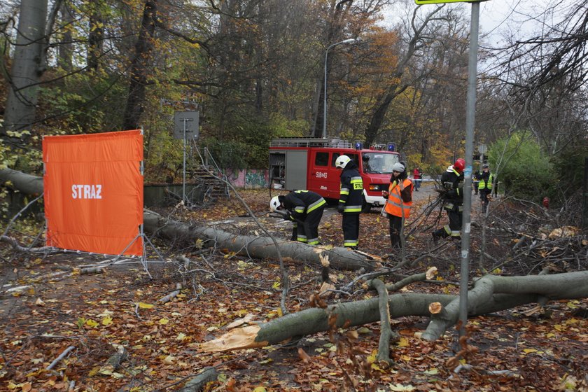 Tragiczny bilans wichury nad Polską