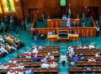 Reps committee plans to probe petrol subsidy regime