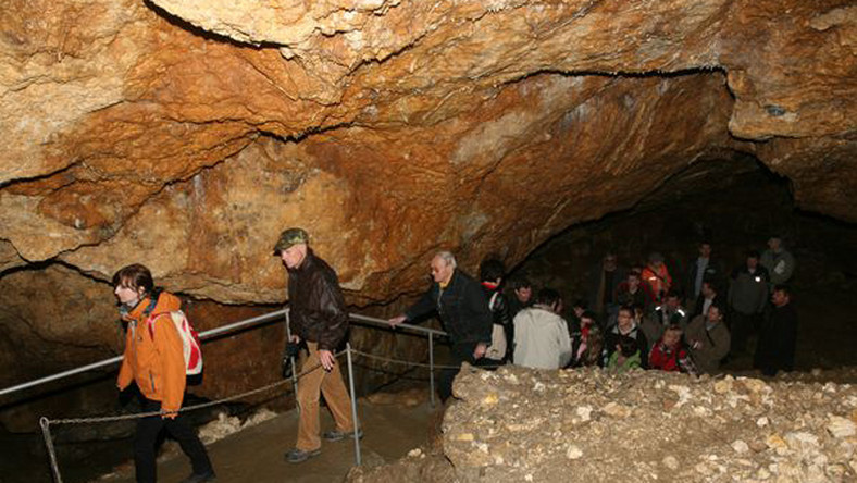 Ślady neandertalskiego ogniska oraz substancji, która mogła być barwnikiem, znaleźli naukowcy podczas tegorocznych prac w jaskini Stajnia na Jurze Krakowsko-Częstochowskiej - poinformował kierujący badaniami dr Mikołaj Urbanowski z Uniwersytetu Szczecińskiego.