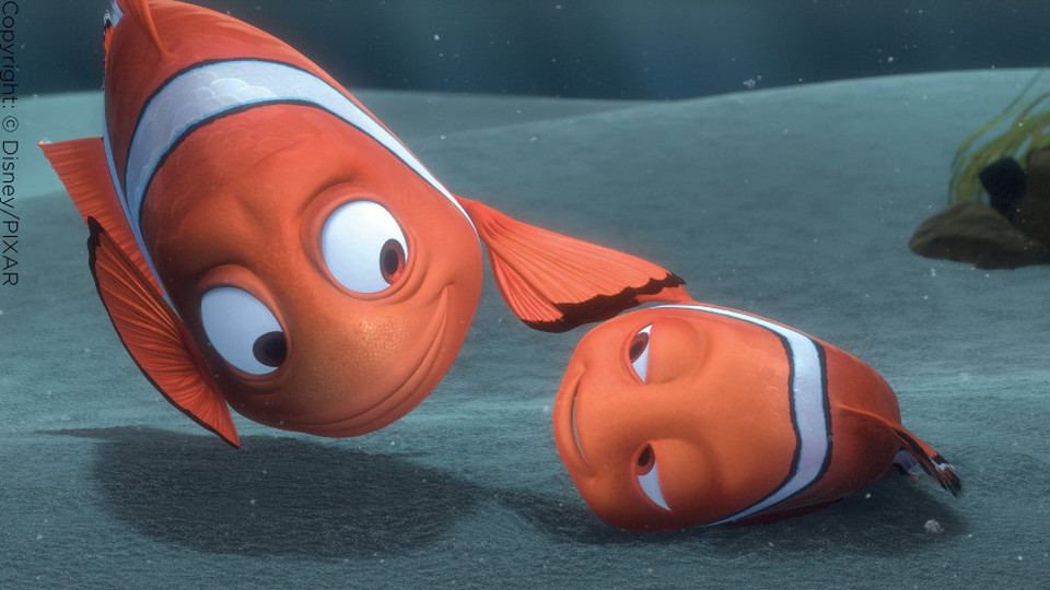 "Gdzie jest Nemo?"