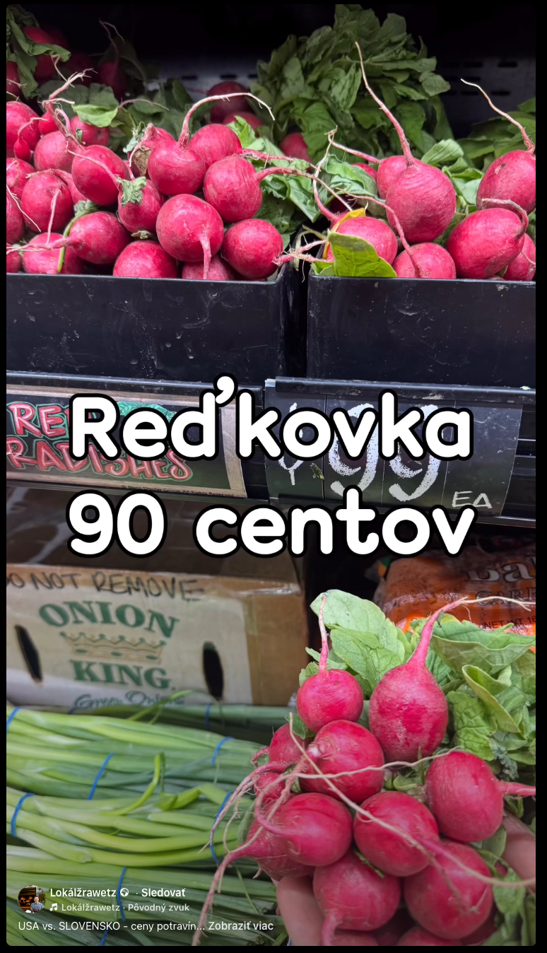 Bloger porovnal ceny v potravinách v USA a na Slovensku. 