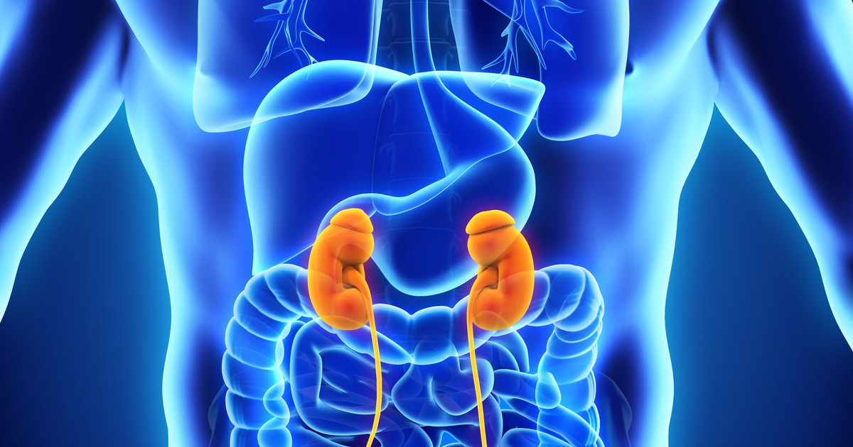 "Nerki mogą zmutować i stać się niewidzialnym zagrożeniem". Nefrolog wyjaśnia, co robić