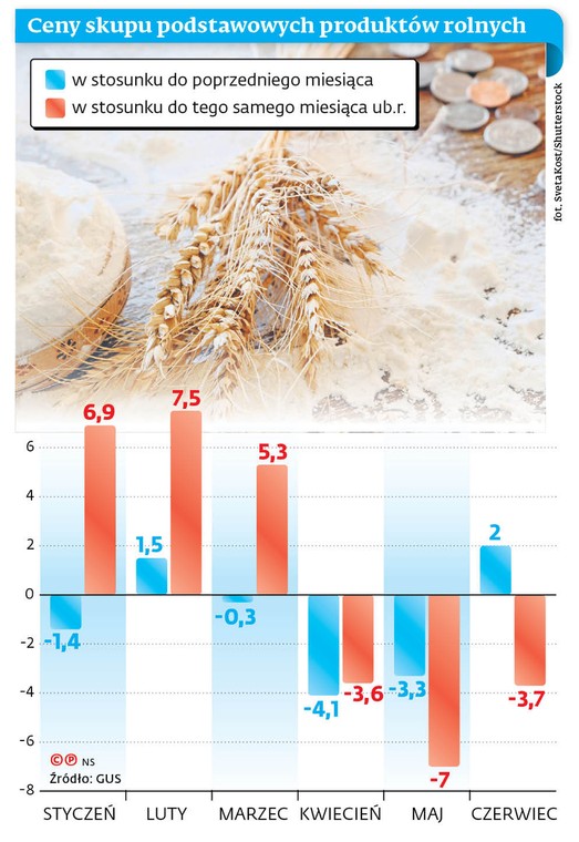 Ceny skupu podstawowych produktów rolnych