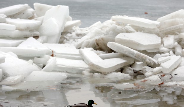 Uskoro novo jako zahlađenje: Ove velike reke u Srbiji će se zalediti