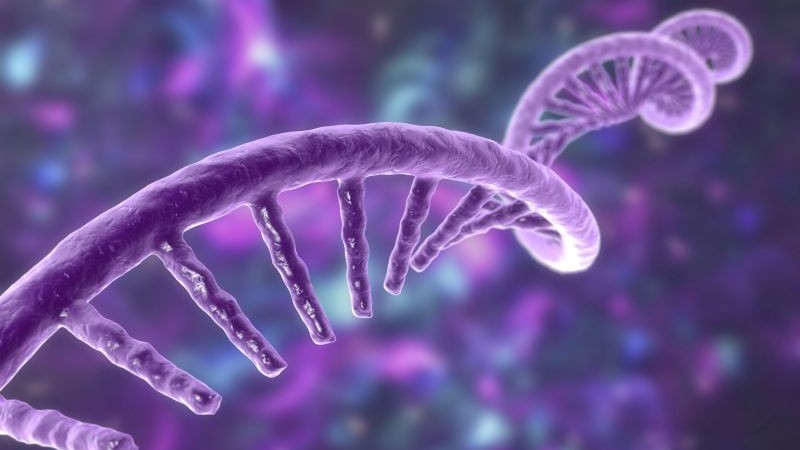 Molekuly RNA sú základom „položivých“ obeliskov.