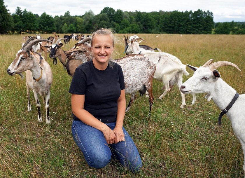 W gospodarstwie mieszka ponad setka kóz