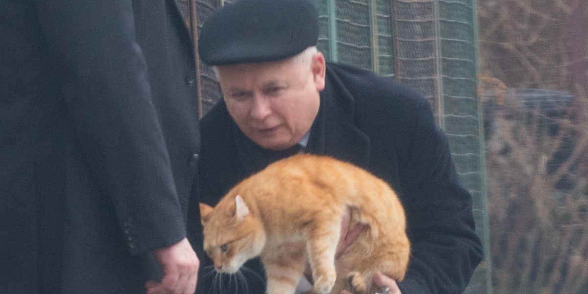 Jarosłąw Kaczyński z kotem
