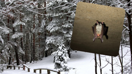 niezwykłe odkrycie w kampinosie. "teraz mamy pewność"