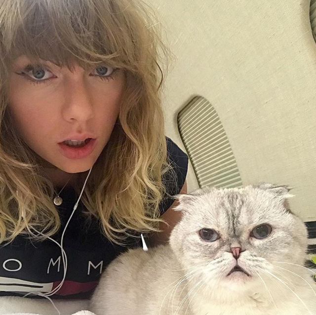 Taylor Swift a legcukibb, őrült macskás nő, ez a videó bizonyítja