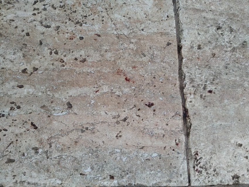 Tragovi krvi na pločama