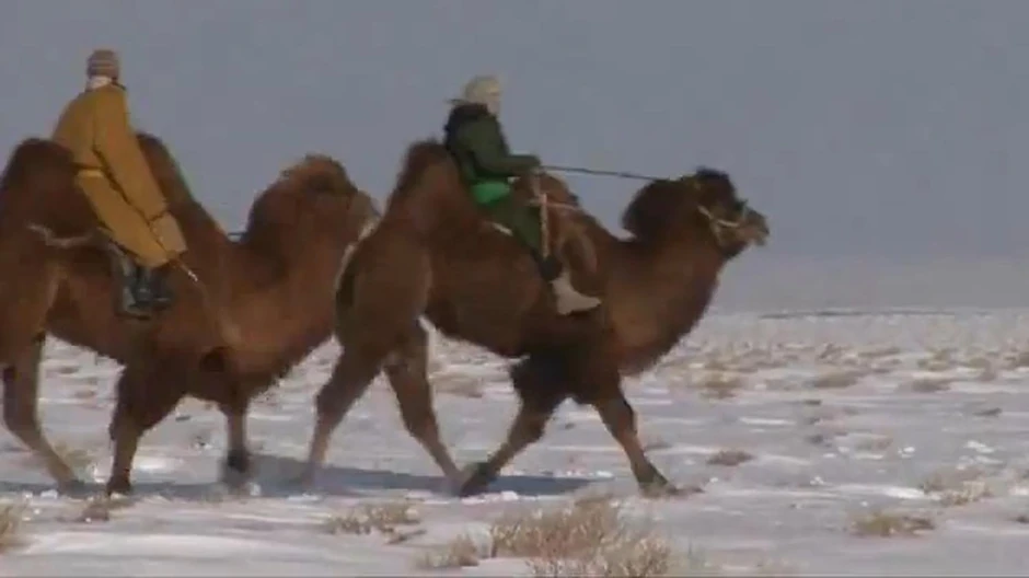 U zabavi dani brže prolaze