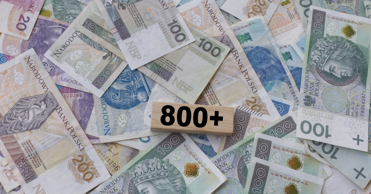 Podwójne wypłaty 800 plus w listopadzie: ZUS ogłasza nowy harmonogram przelewów. Dwa przelewy jednego dnia