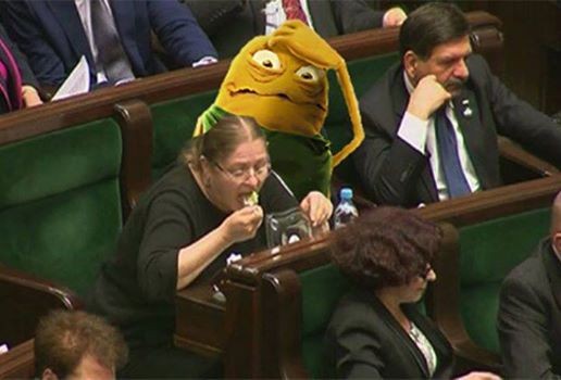 mem / Sara polityczna