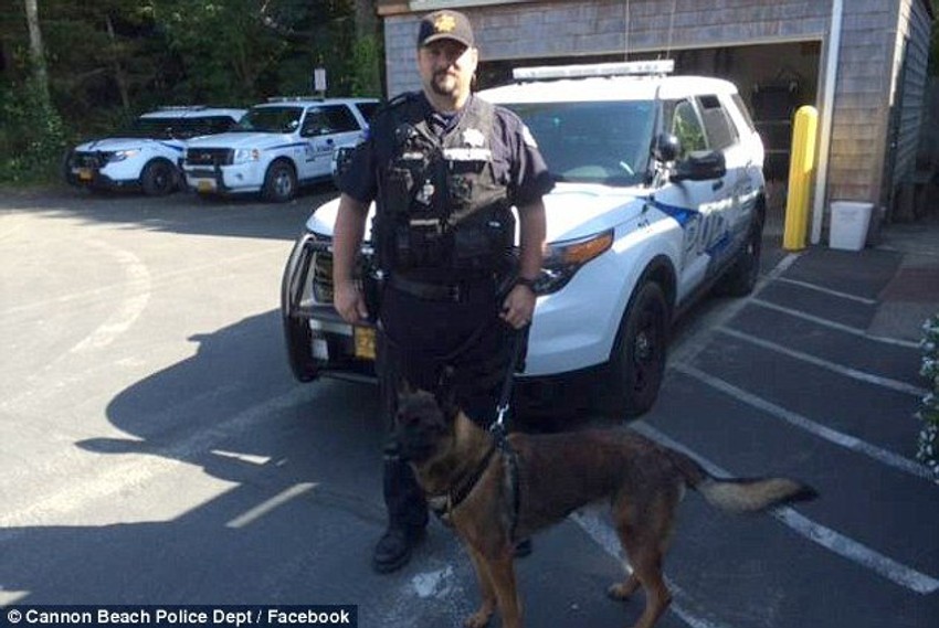 Policija Kanon Biča kupila ga je ove godine nakon što je prikupila 27.000 dolara za program obuke pasa za jedinicu K-9