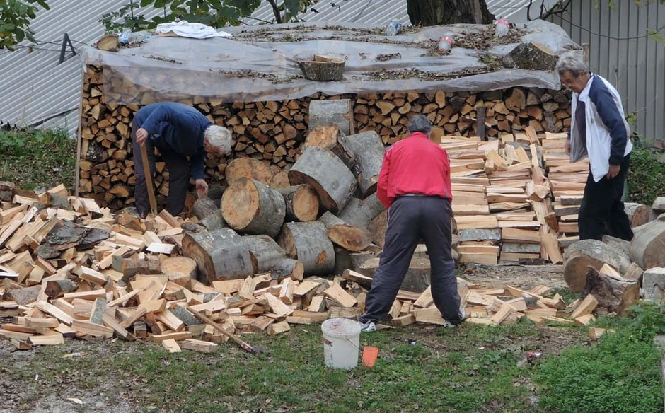 Duga zima i hladno proleće mnoge ostavili bez ogrevnog drveta