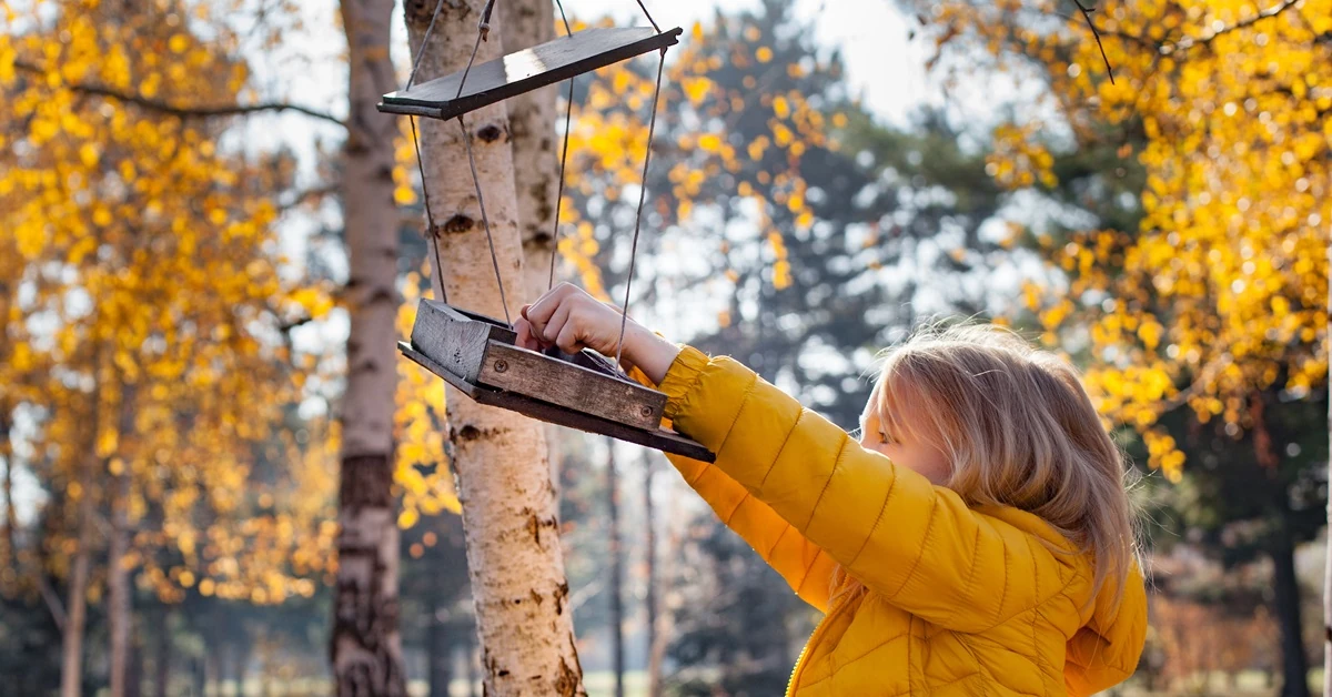 Jesień z dzieckiem i dzikimi ptakami w ogrodzie. Pomysł na lekcję biologii i wyciszenia