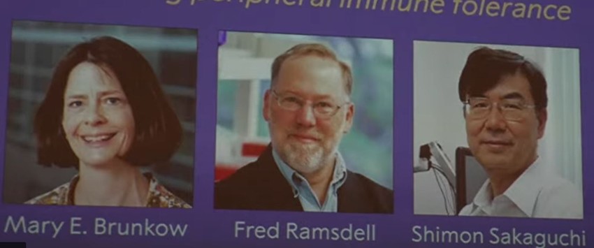 Nobelova nagrada za medicinu 2025