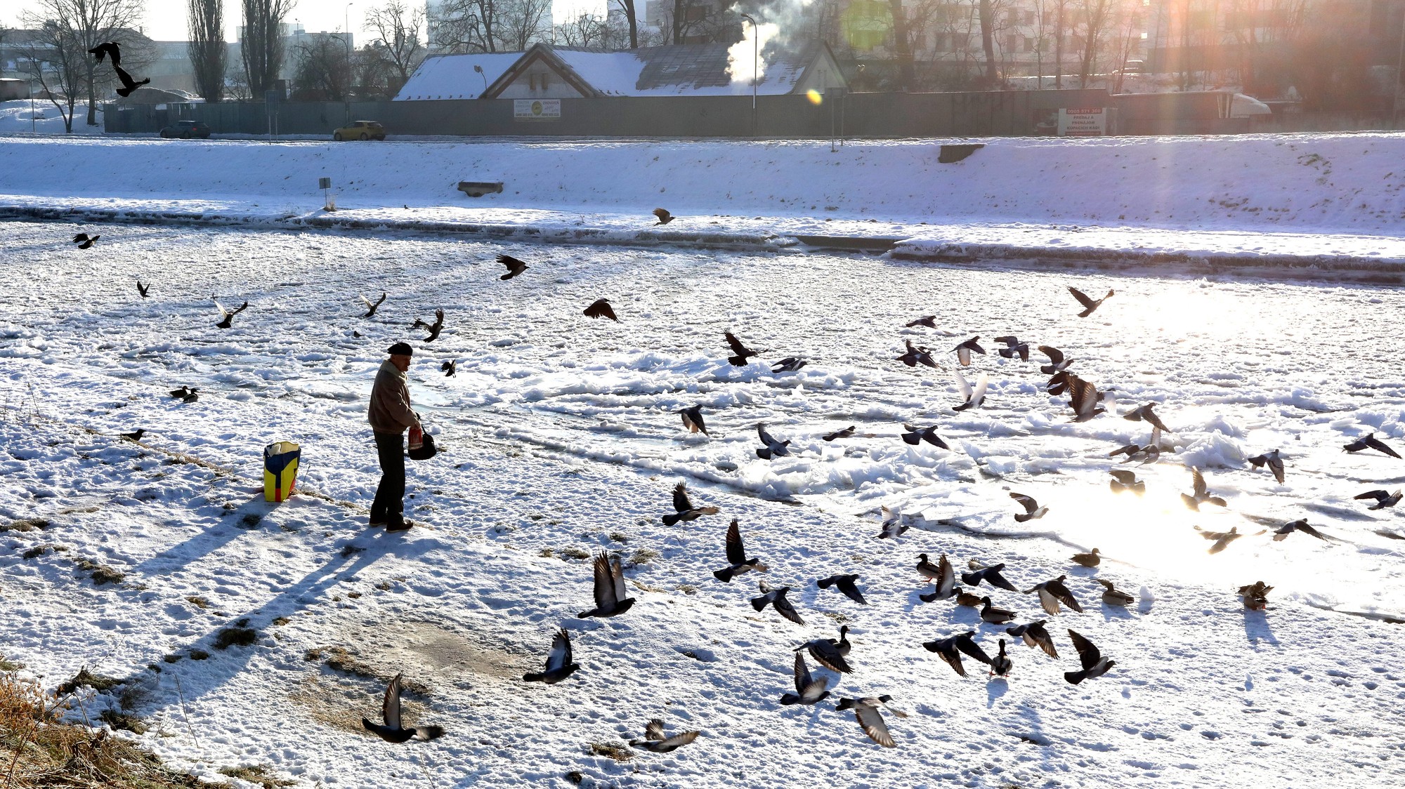 Muž kŕmi holuby a kačice pri zamrznutej rieke Hron vo Zvolene v stredu 21. januára 2026.
