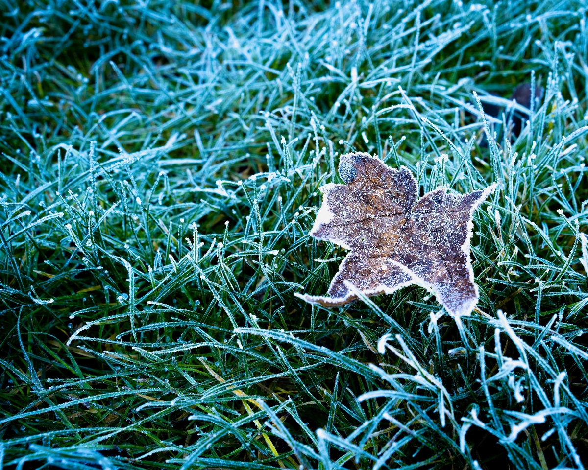 Ostrzeżenie IMGW. Przymrozki niemal w całym kraju. Tam będzie najzimniej