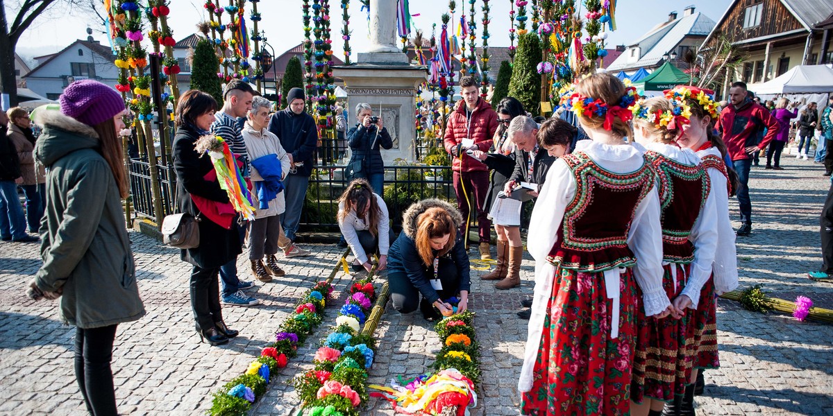 Oto najpiękniejsze palmy w Polsce.