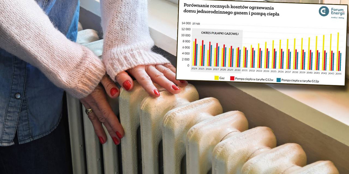 Eksperci porównali koszty ogrzewania domu gazem i pompą ciepła. 