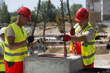 Trzech Polaków kosztuje tyle co jeden Niemiec. Wciąż jesteśmy tanią siłą roboczą dla Zachodu