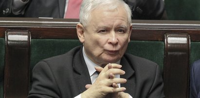 Nowy sondaż. PiS może być w szoku!