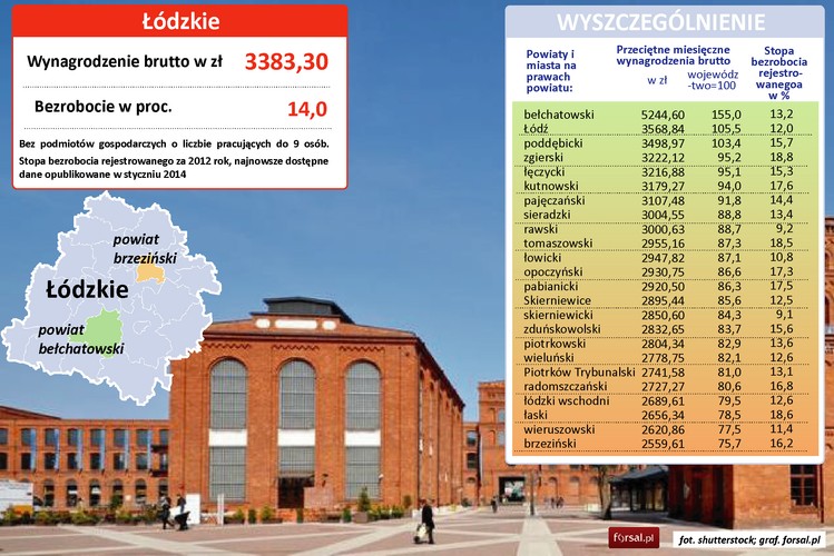 Średnia wynagrodzeń dla woj. łódzkiego to 3383 zł brutto. Jest ona jednakże znacznie zawyżona przez wynagrodzenia z powiatu bełchatowskiego, dla którego średnia wynosi 5245 zł. Najważniejszym pracodawcą w łódzkim jest Elektrownia Bełchatów - największa w Europie elektrownia zasilana węglem brunatnym. Elektrownia pokrywa ponad 20 proc. krajowego zapotrzebowania na energię elektryczną. Powstaje tu najtańszy prąd w Polsce. Gmina Kleszczów (jedna z gmin powiatu) jest najbogatszą gminą w Polsce - w 2011 r. roczny dochód na mieszkańca sięgał tu 44 563 zł. Z drugiej strony w pierwszej 10-tce najbiedniejszych powiatów w Polsce, cztery znajduje się na obszarze woj. łódzkiego (brzeziński, wieruszowski, łaski i łódzki wschodni).