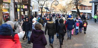 Wielka obława na dinozaura w Zakopanem! Uciekł na widok mundurowych