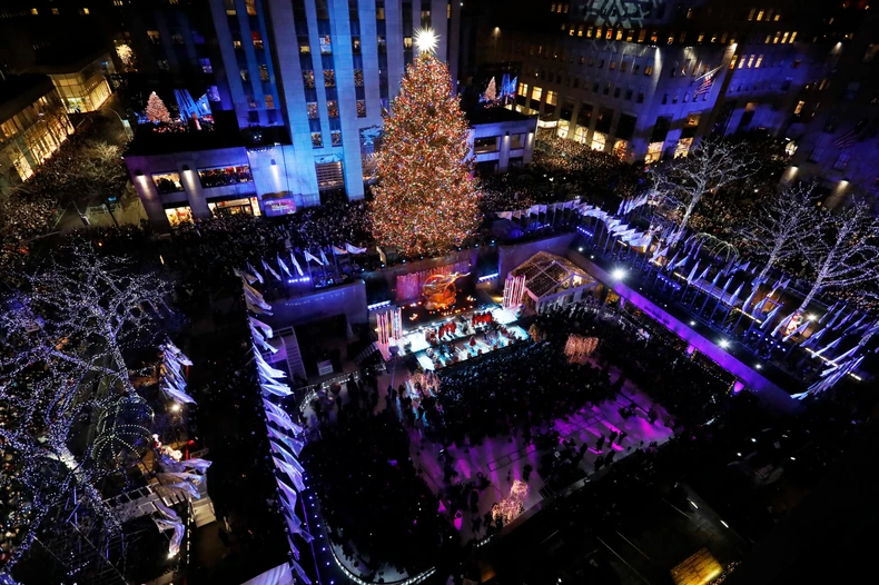 Prošlogodišnja jelka