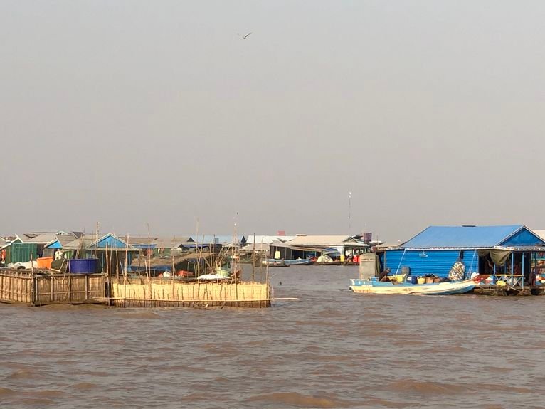 Rus bekasi va qul paypoqlari fotosurati