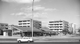 QUIZ. Życie codzienne PRL. Pamiętasz? Na pytaniu nr 9 na bank się nie wyłożysz