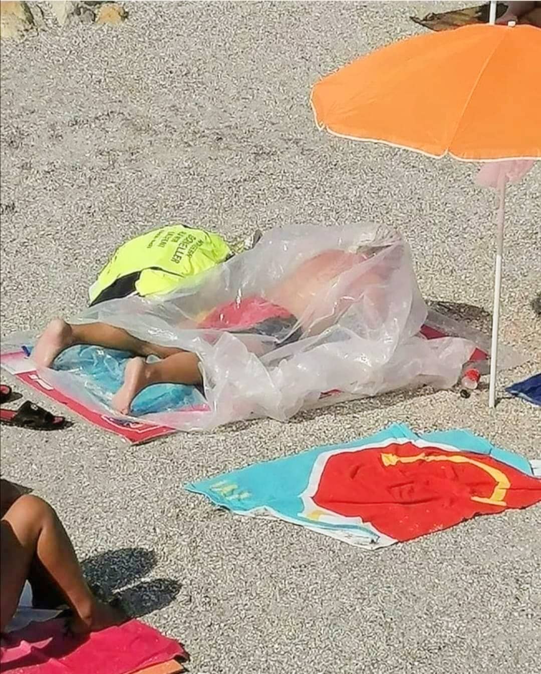 Väčší bizár len tak neuvidíte.