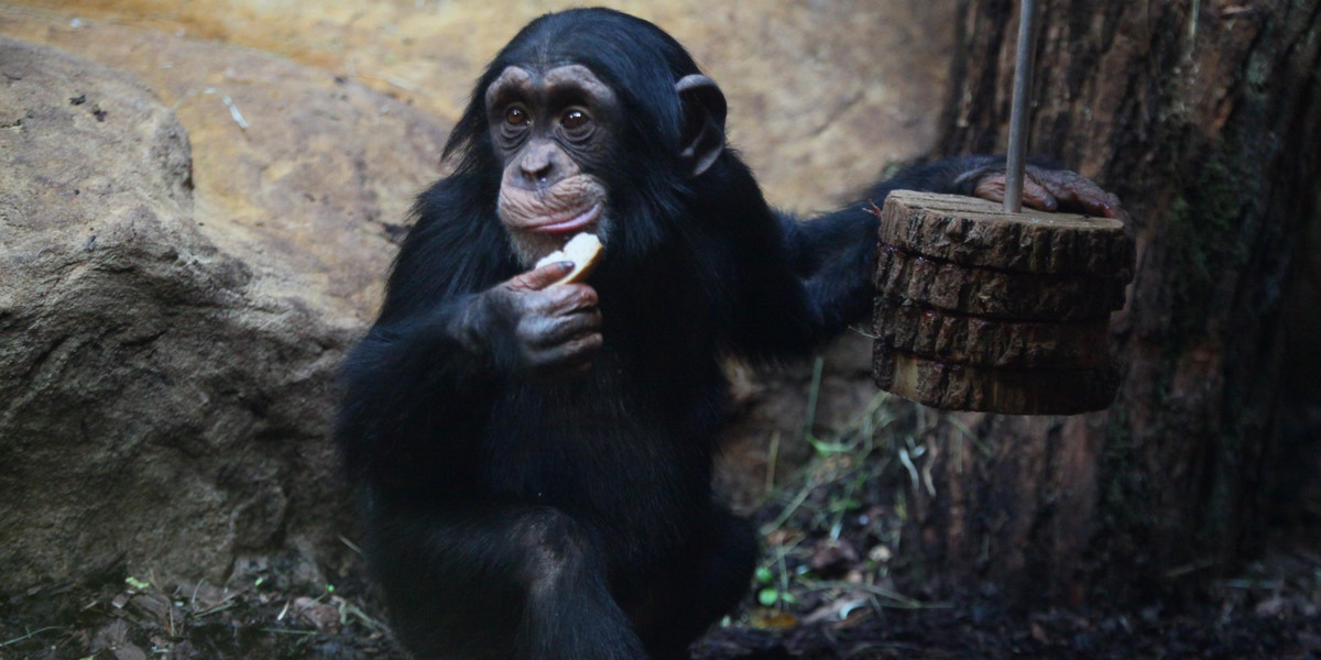 W ferie odwiedź Zoo