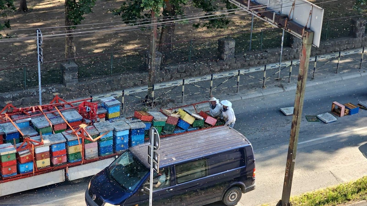 Košnice ispale iz kamiona u Kraljevu