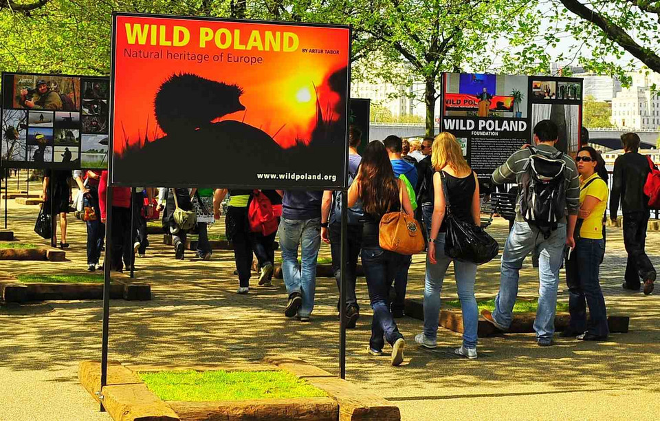 Wild Poland