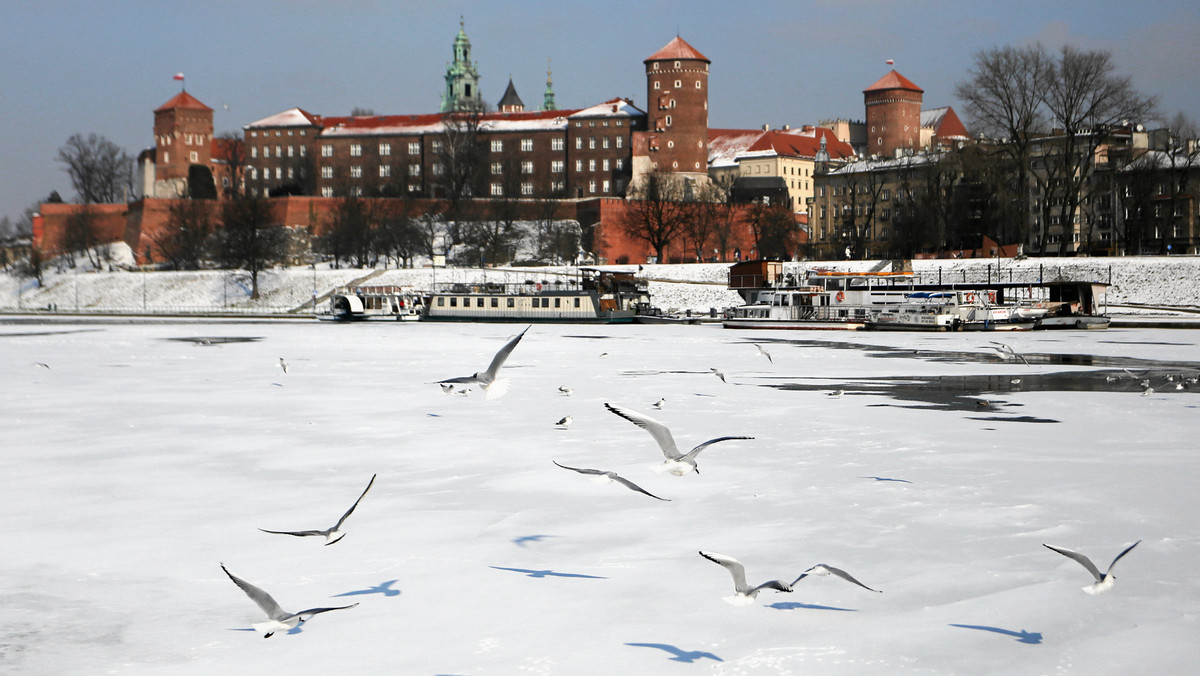 Wisła w Krakowie zamarzła