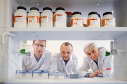 SPA dla katalizatora [Eureka! DGP]