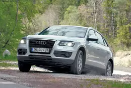 Test długodystansowy Audi Q5 3.0 TDI