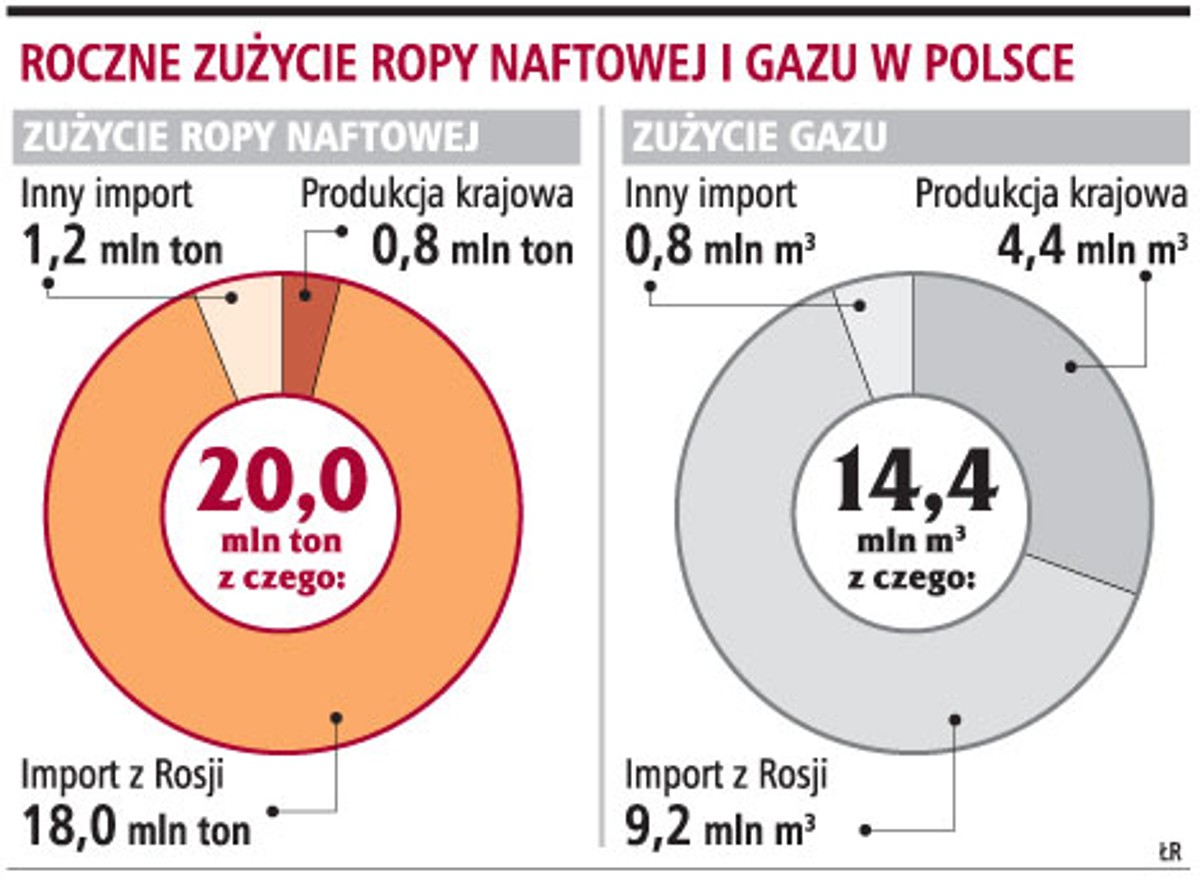 Roczne zużycie ropy naftowej i gazu w Polsce