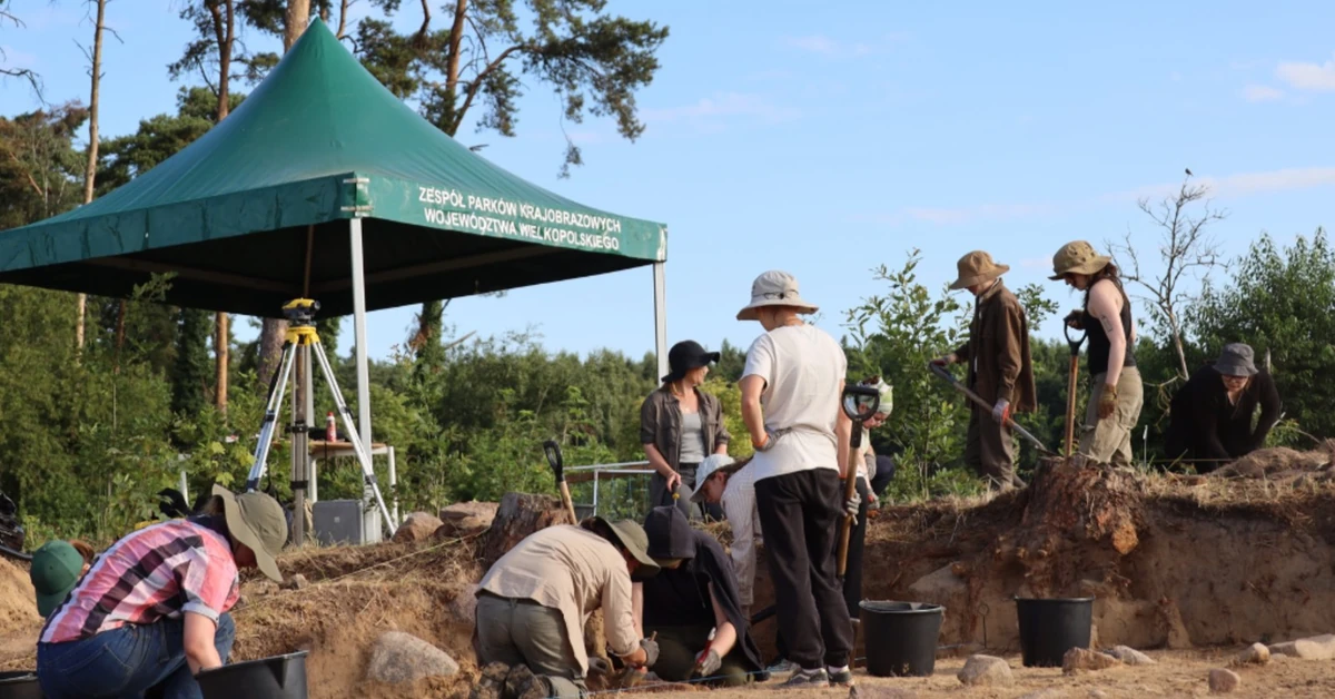Sensacyjne znalezisko w Wielkopolsce. "Polskie piramidy" starsze od tych w Egipcie