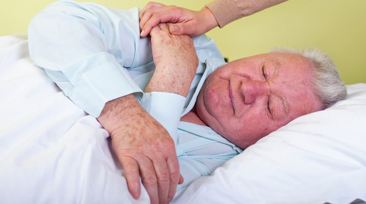 A szklerózis multiplex az egyik legveszélyesebb betegség, amiben ember szenvedhet /Fotó: Shutterstock