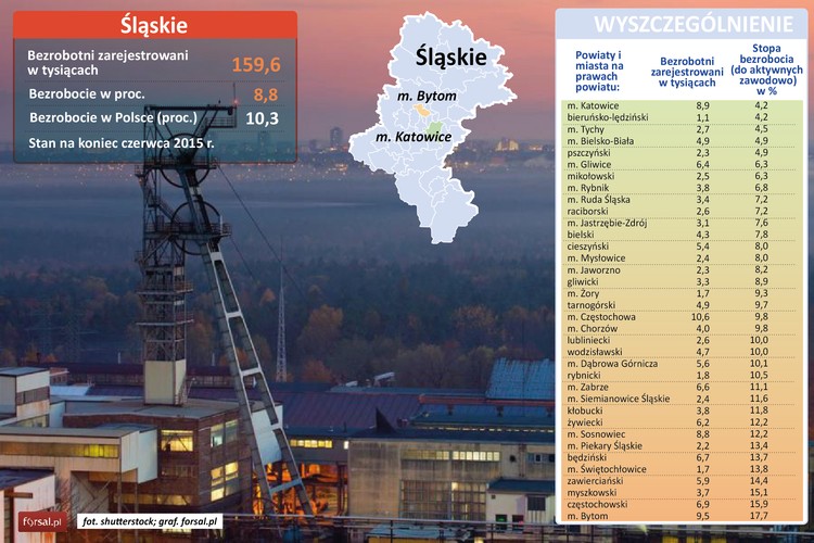 W całym województwie śląskim bez pracy pozostaje 159,6 tys. osób, co przekłada się na stopę bezrobocia rejestrowanego wysokości 8,8 proc. o 1,5 pkt.proc. mniej niż wynosi stopa bezrobocia dla całego kraju. 
<br><br>Najlepsza sytuacja jest w Katowicach, gdzie bez pracy pozostaje 4,2 proc. ludzi zdolnych do pracy, co odpowiada 8,9 tys. ludzi. <br><br>Najgorsza sytuacja jest w Bytomiu, gdzie bez pracy jest 9,5 tys. ludzi, co odpowiada 17,7 proc. ludzi zdolnych do pracy.