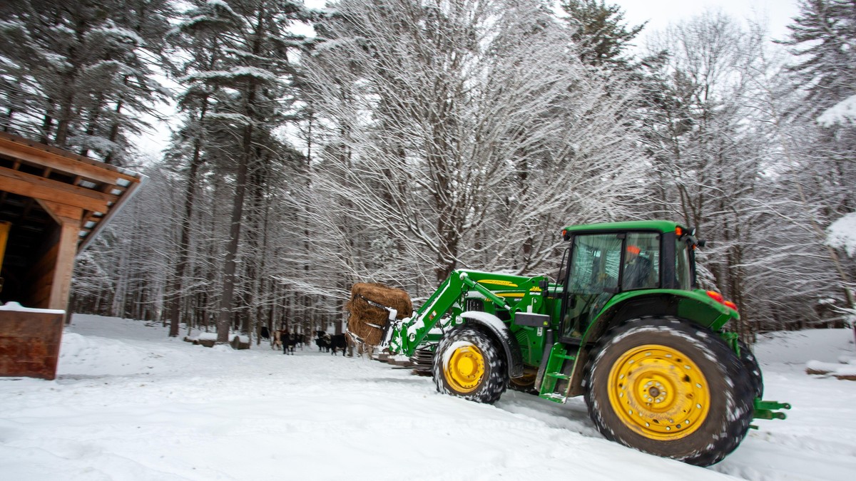 Traktor u snegu - ilustracija