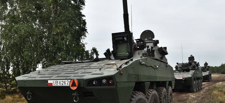 Polskie Raki trafią na Ukrainę. To "mniejsi bracia" Krabów